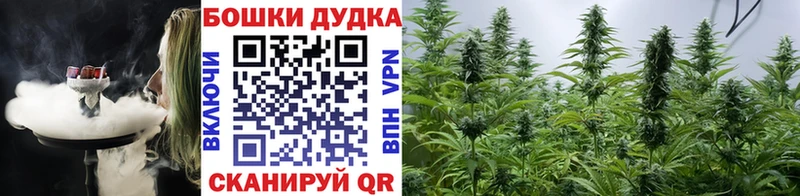 это какой сайт Сальск Марихуана сатива omg tor